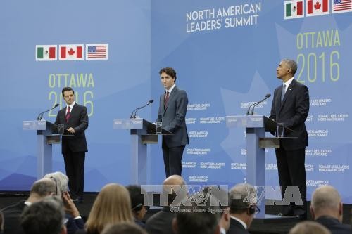 Nordamerikanische Länder erreichen Vereinbarung über Energie und Umwelt - ảnh 1